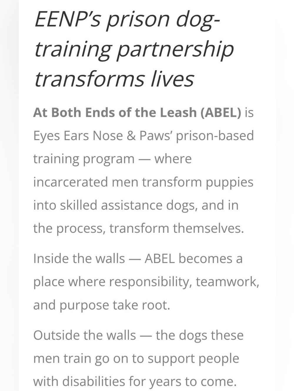 At Both Ends of the Leash